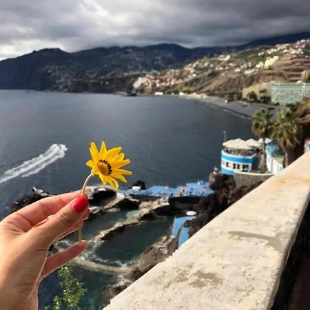 Monumental Palace 아파트 *